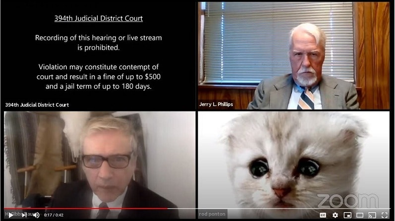 lawyer cat filter zoom video