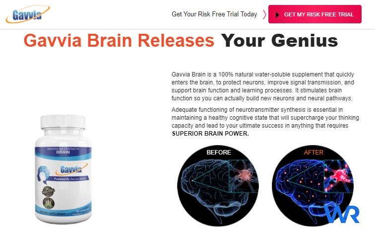 Gavvia Brain {Review} – Memory Booster, Focus Enhancer And Buy !