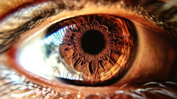 Eye Color May Help Predict Vitiligo Risk | Brown Eyes