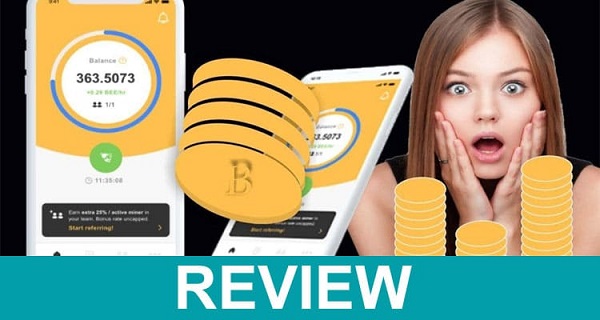 Is Bee Network Legit {2021} – What is the Bee Network?