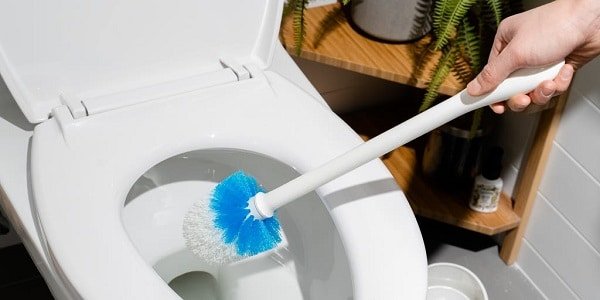 Splash Toilet Cleaner Reviews!
