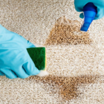 5 Tips To Ensure You Hire The Best Carpet Cleaning Company !