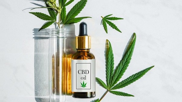 You Must To Know About CBD Oil? Read Full Details