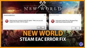 New World Anti Cheat Error