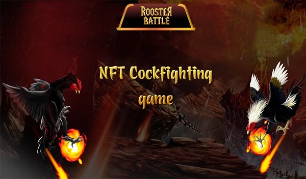 Rooster Battle NFT Final Verdict – Here All Details !