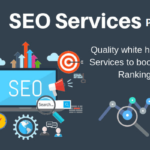 Best SEO Company Primelis {2021} Find Offering Services!