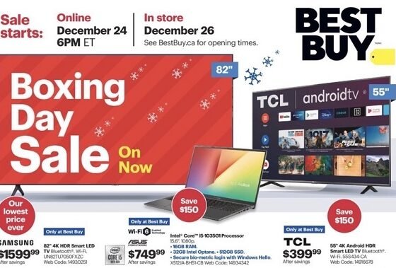 Boxing Day Hours Best Buy