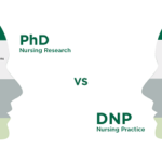 DNP vs. PhD: Which One Should You Go For? Get All Details