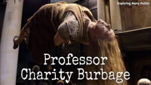 What Did Charity Burbage Teach