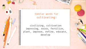 Cultivated Words Refinement