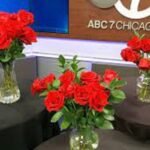 Flower Delivery Chicago Proflowers {2022} What It Offers!