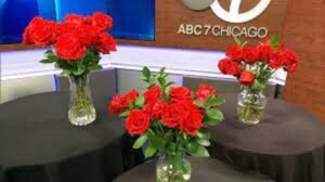 Flower Delivery Chicago Proflowers