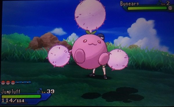 Shiny Hoppip Evolution {2022} Know Recommended Moves