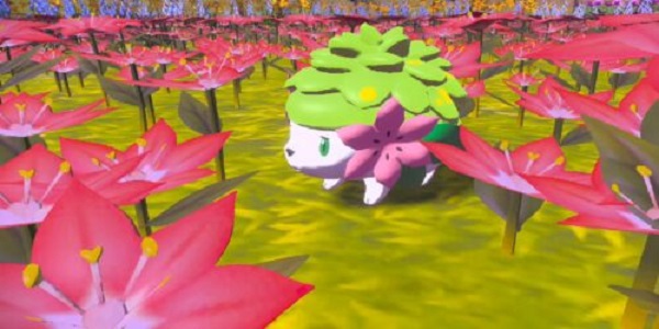 A Token Of Gratitude Arceus {Feb 2022} Find Steps To Avail It