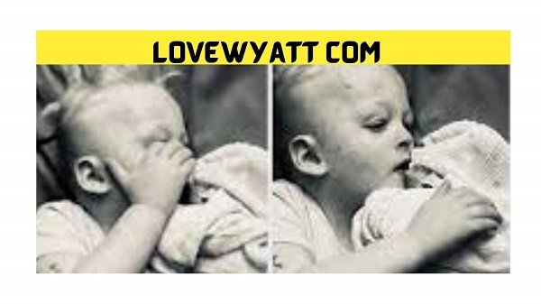 Lovewyatt Com (March 2022) – Get All Latest Update Here!