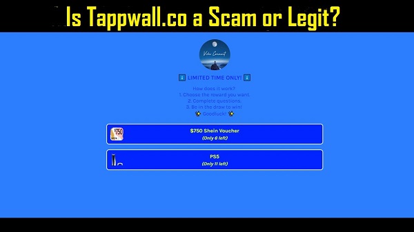 Tappwall Review {2022} Is Tappwall.co Real or a Fake?