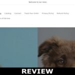 Petshack Reviews [2022] | You Must Read About This Site !