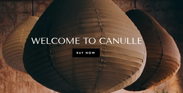 Canulle Reviews | Is Mysah a Scam or Legit Website?