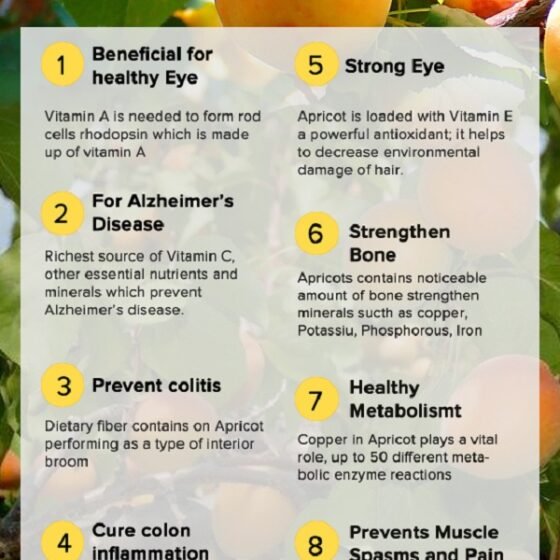 Health Benefits of Apricots for Skin