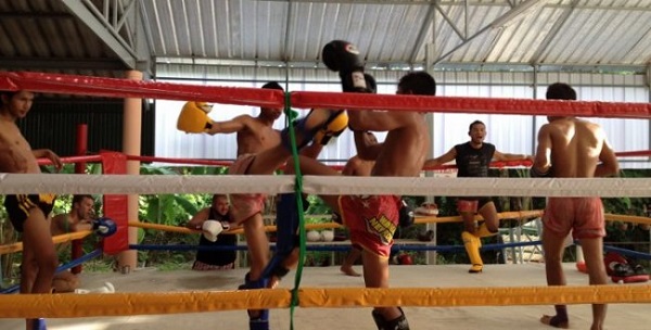 Workout of Muay Thai fitness for you!