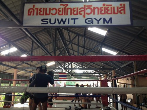 Build Muay Thai training gym website!