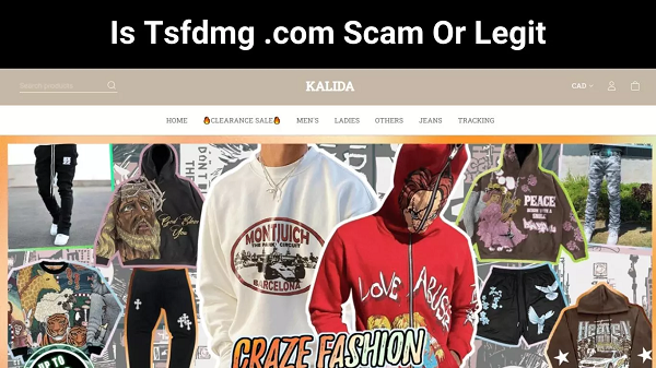 Is Tsfdmg com Scam Or Legit (2022) Read The Review Here!
