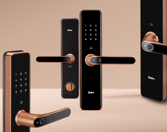 How to Secure Your Home and Property with an Electronic Lock for Gate