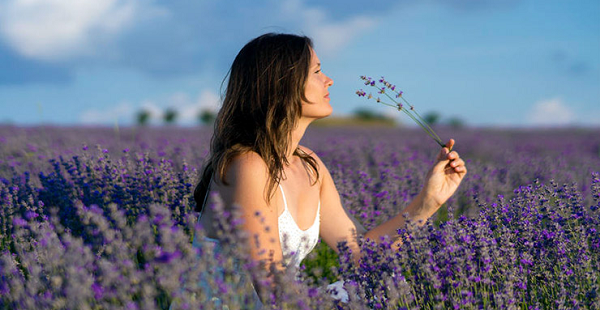 Aromaweb com Review {2023}: Is This Offer A Legit Deal?