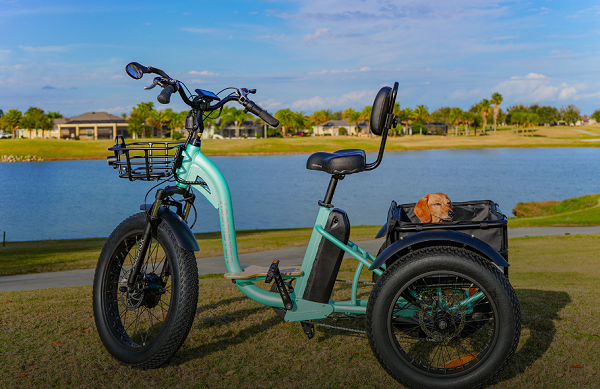 The Top Reasons to Buy a Fat-Tire Electric Trike {2023}: Know Hear-