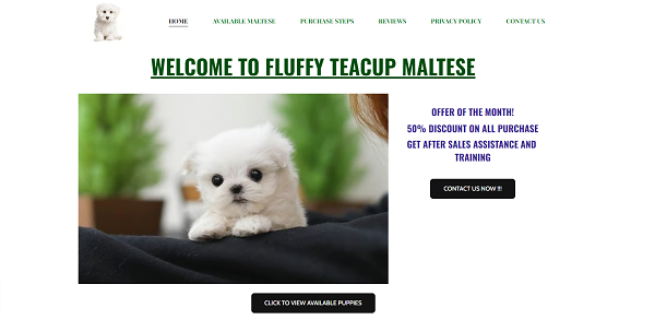 Fluffyteacupmaltese Review {2023}: Is This Genuine Or Scam?