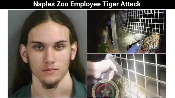 Naples Zoo EmployeeTiger Attack : Get Read About The Naples Zoo!