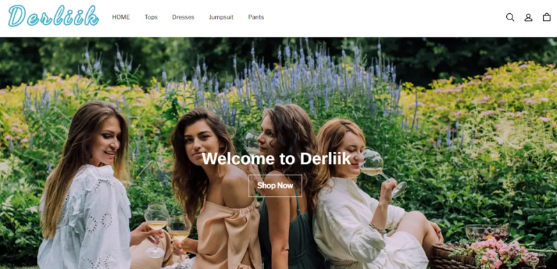 Derliik Review 2023: Know The Website Review!