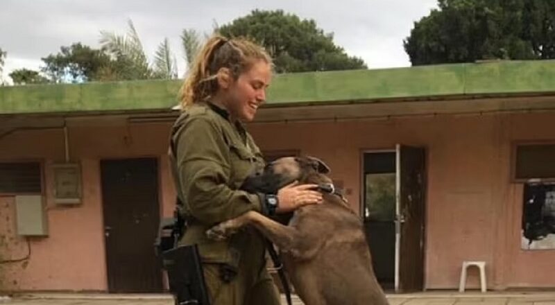 What Happened To Inbar Lieberman? Exploring the Life of an Israeli Woman