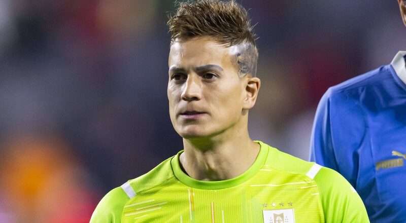 Sebastian Sosa Net Worth in 2023 How Rich is Sebastian Sosa Now? and More!