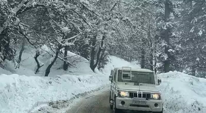 Early Snowfall in Kashmir Sparks High Tourism Boost
