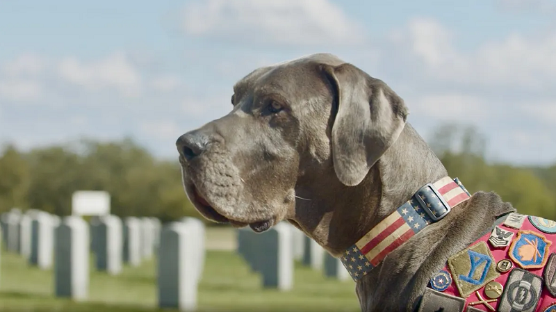American Humane Hero Dog Awards 2023