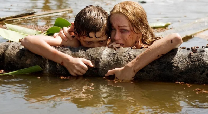 Is The Impossible True Story? Plot, Cast, and Everything You Need to Know!