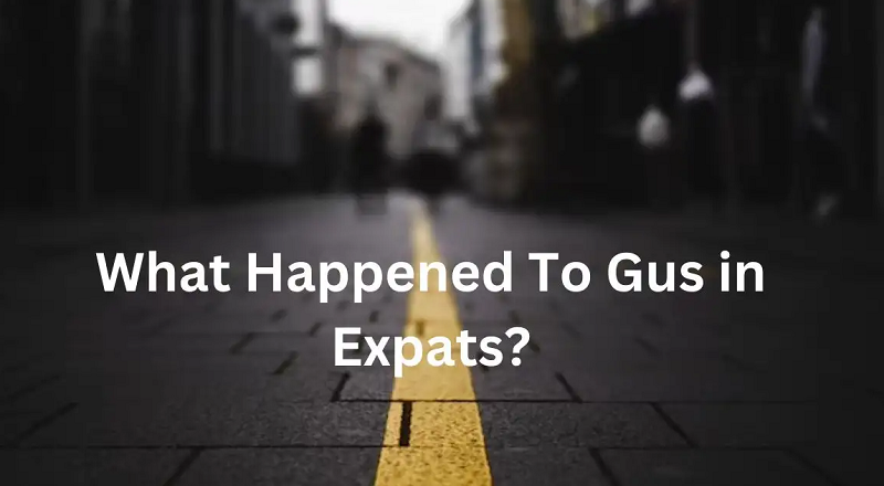 What Really Happened to Gus in Expats? Do They Find Gus in Expats?