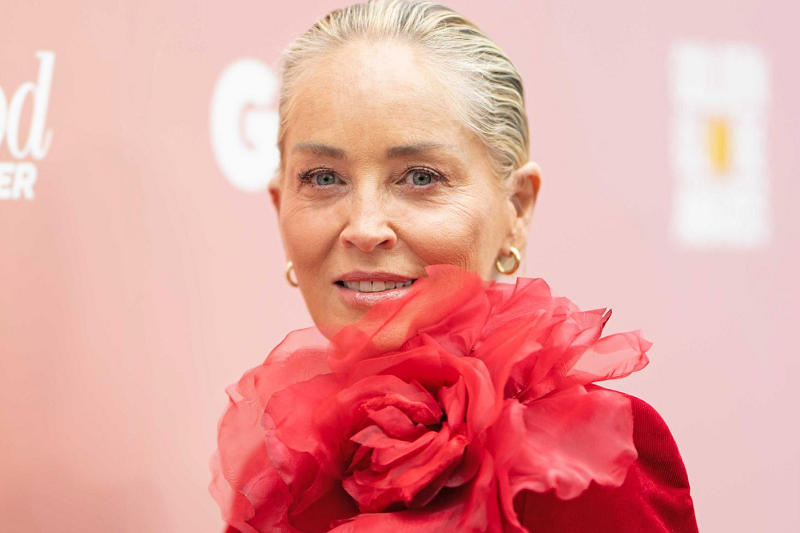 What Happened to Sharon Stone